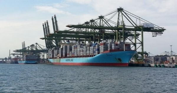Maersk thỏa thuận thiết lập chuỗi cung ứng để cung cấp vắc ...