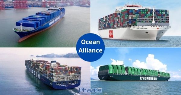 Ocean Alliance công bố nâng cấp mạng lưới dịch vụ vận chuyển toàn cầu