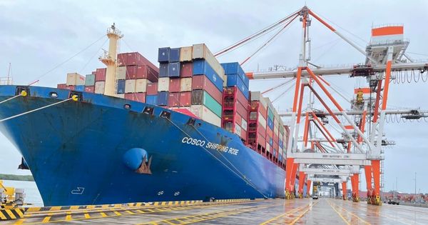 TCTT Port successfully handled COSCO SHIPPING ROSE with a record draft of 15.8m