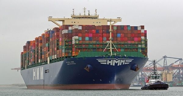Shipping lines continue to reap record profits, HMM achieved a profit of USD 4.6 billion in H1 2022