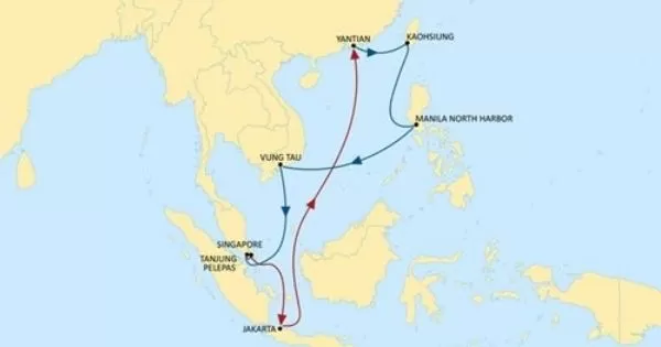Seahorse-service-MSC-dich-vu
