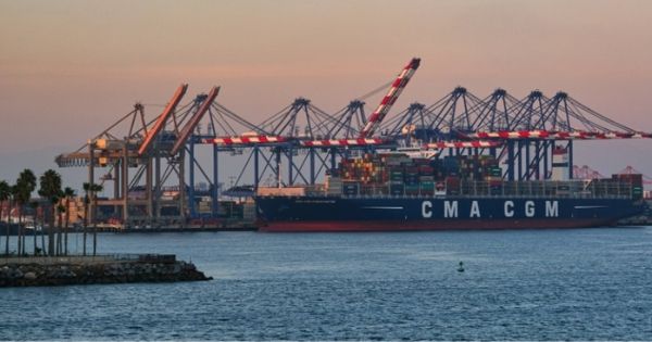 cma-cgm-nhan-thay-nhu-cau-van-chuyen-phuc-hoi-manh-me-trong-quy-4