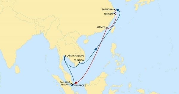 dich-vu-van-chuyen-seagull-hang-tau-container-msc