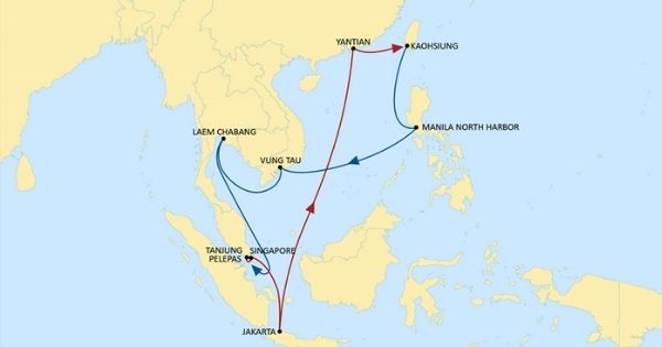 dich-vu-van-chuyen-seahorse-hang-tau-contianer-msc