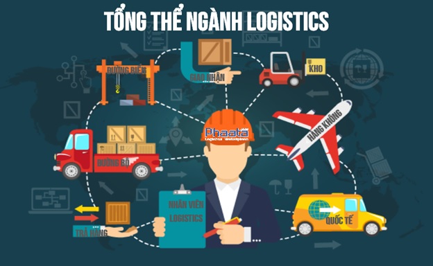 Ngành Logistics là gì, ngành Logistics học những gì?