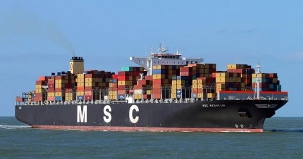 tau-container-MSC