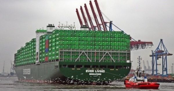 tau-container-hang-tau-Evergreen-line
