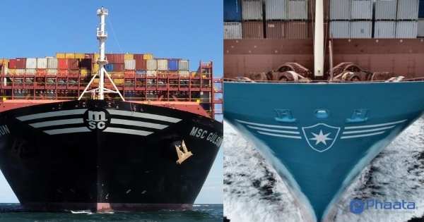 tàu container MSC và Maersk
